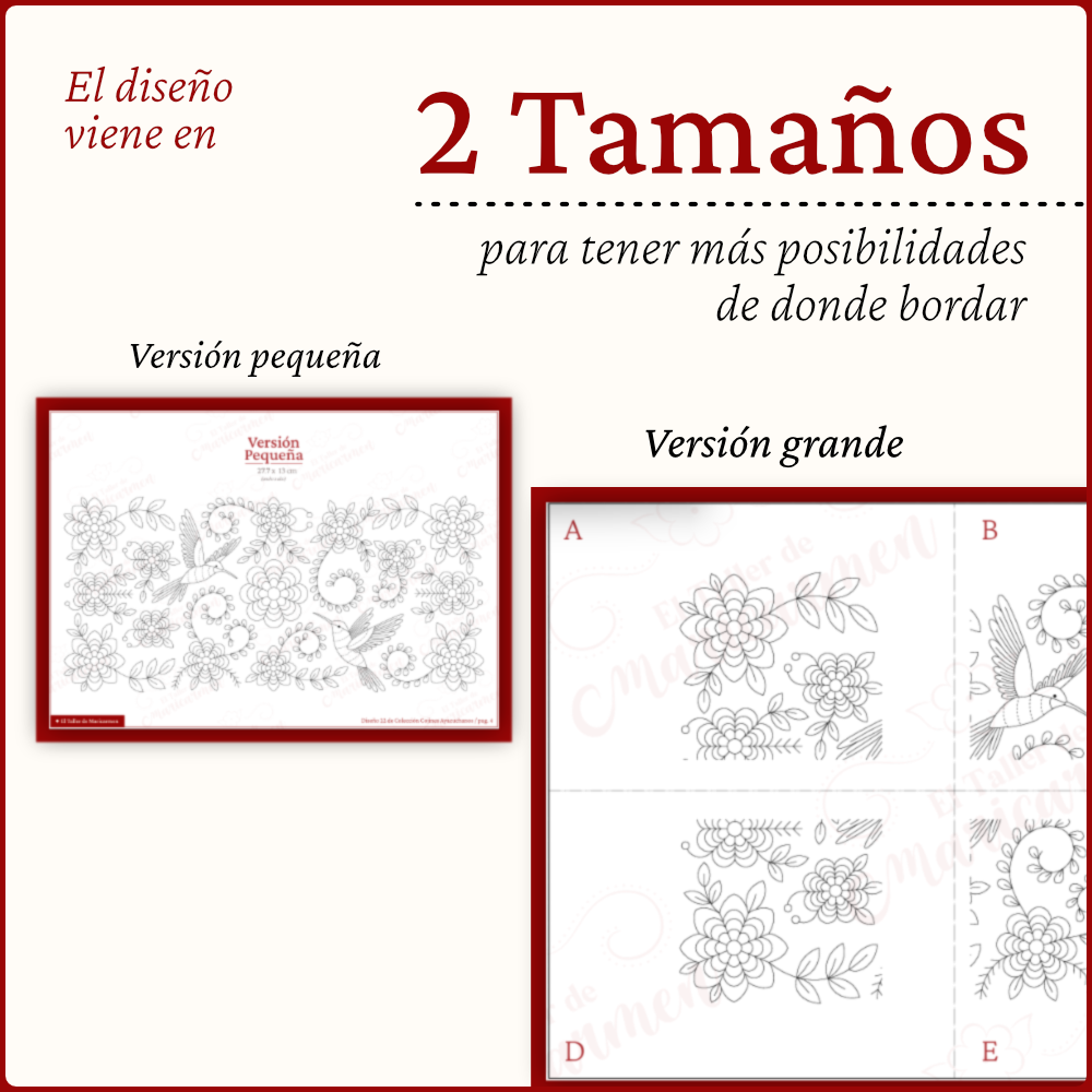 Danza de Colibríes