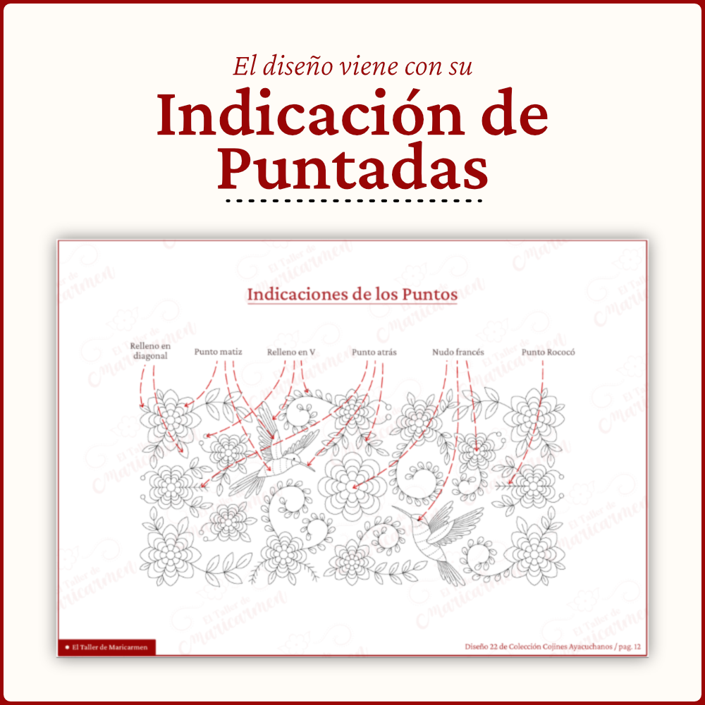 Danza de Colibríes
